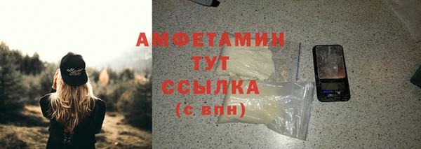 сатива Беломорск