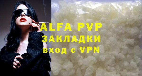 сатива Беломорск