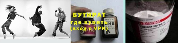 сатива Беломорск