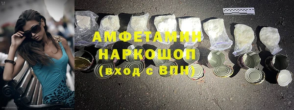 сатива Беломорск