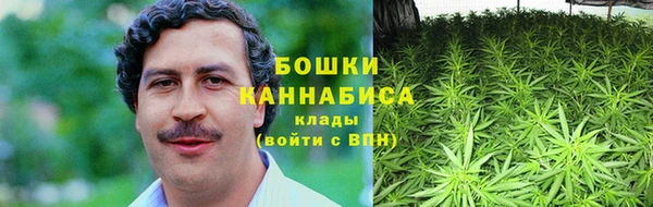 сатива Беломорск