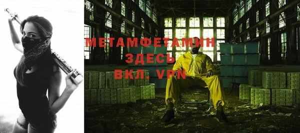 сатива Беломорск