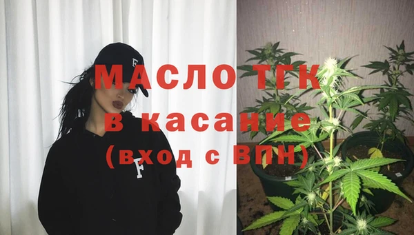 сатива Беломорск
